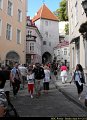 Tallin 036